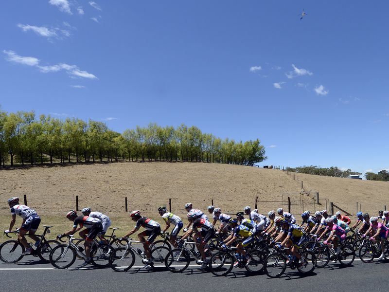 The sprinters' teams helped keep control of the pace-setting