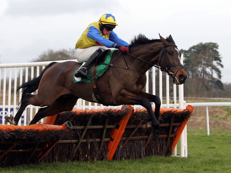 Amigo lands the handicap hurdle for the David Pipe team