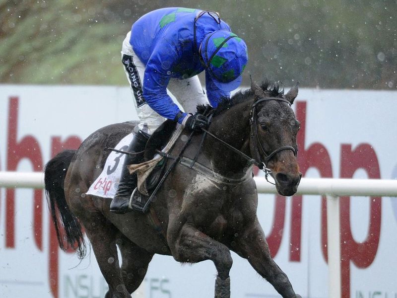He is now favourite to win a second Champion Hurdle at Cheltenham