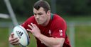 Leinster v Treviso: Teams