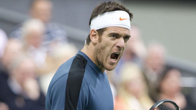 Can Del Potro get back to the top?