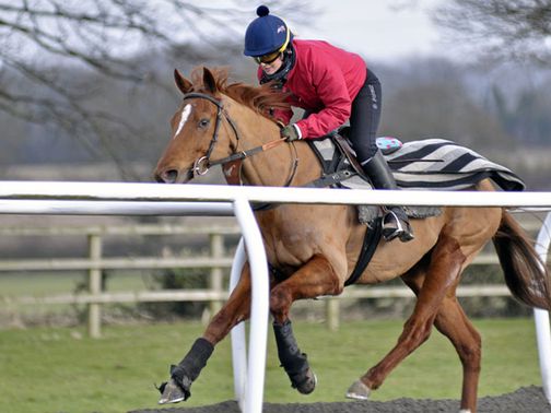 Alex aboard her ride at Cheltenham Micka Mika