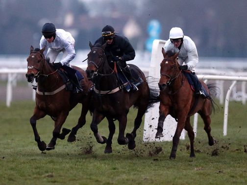Bobs Worth, Long Run and Binocular in a spin after racing