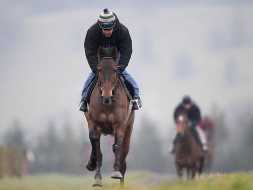 Imperial Commander: Heads the weights for Aintree