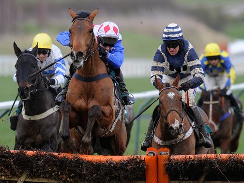 Oscar Whisky (r): Not yet committed to the World Hurdle