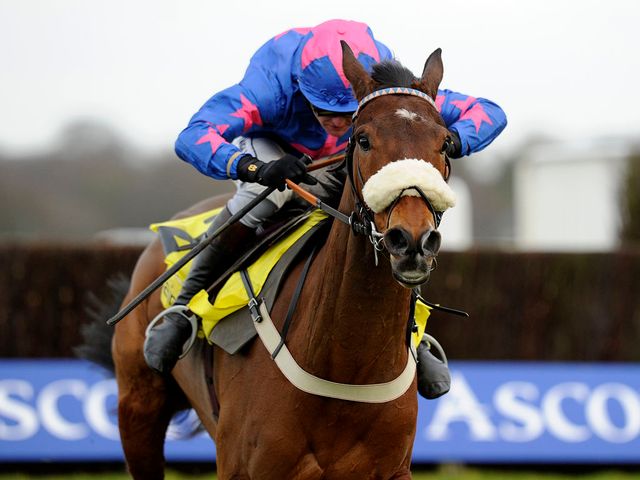 Cue Card: Ultimately an easy winner of the Ascot Chase