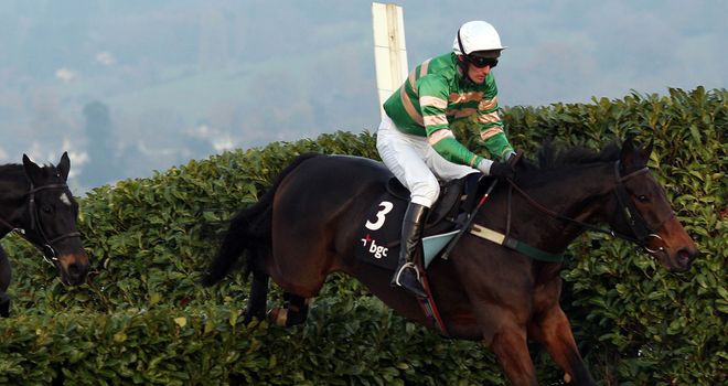 JT McNamara: Back in time for Cheltenham