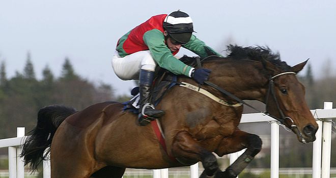 Limestone Lad: Enjoying his retirement