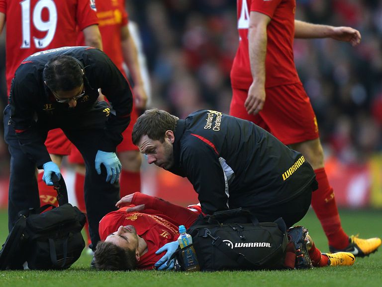 Fabio Borini: Looks set to miss the rest of the season