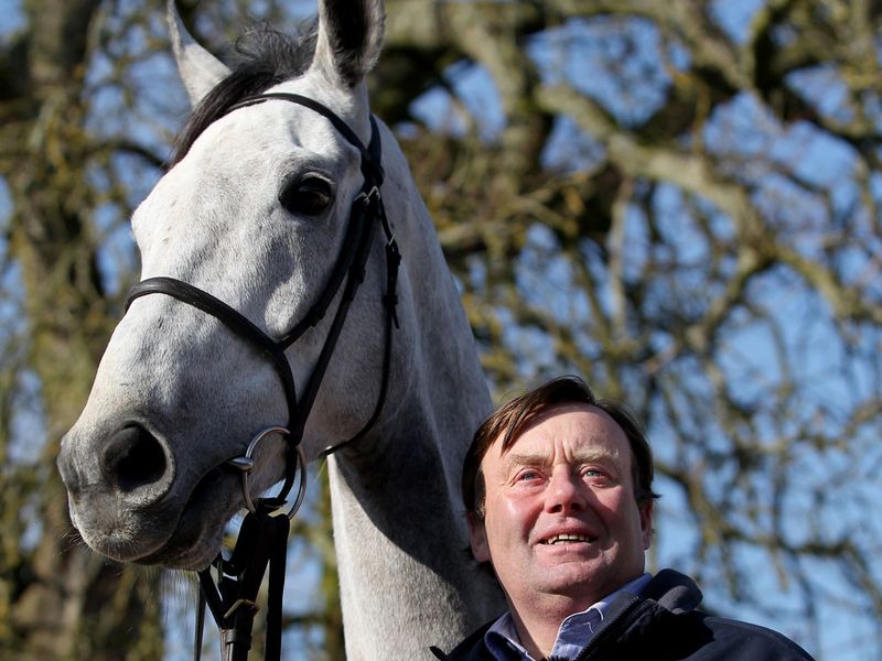 Simonsig is a hot favourite for the Arkle Chase at Cheltenham