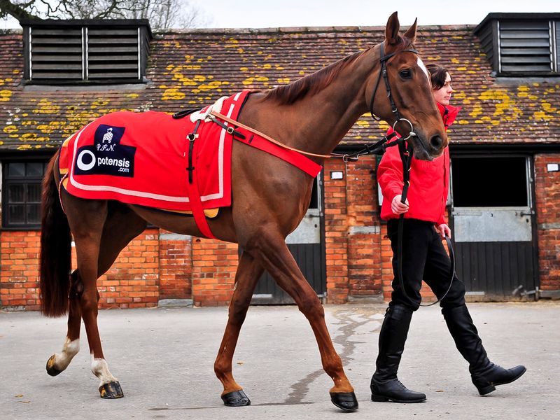Silviniaco Conti looking in prime condition