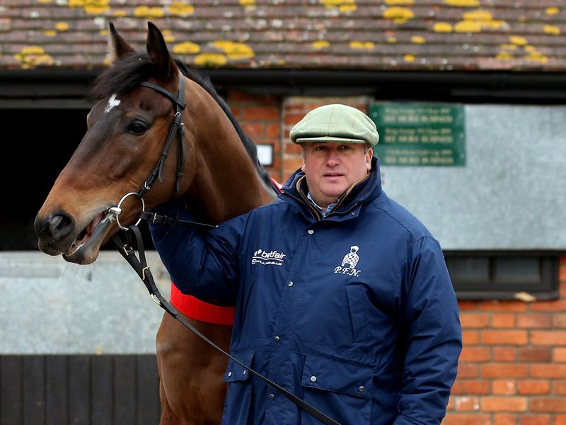 Champion Hurdle hope Zarkandar