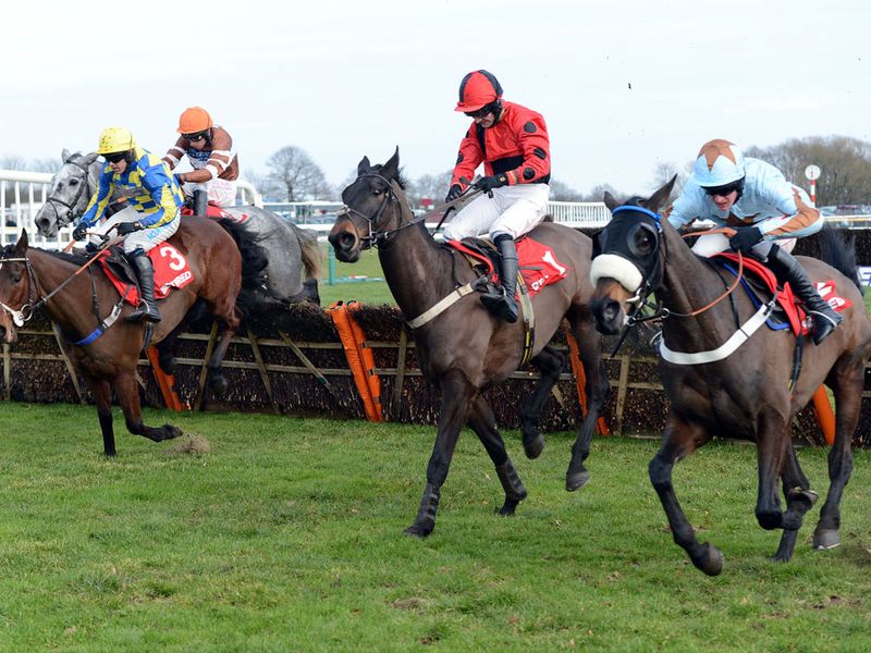 Across The Bay (right) earned a hard-fought victory in the Rendlesham