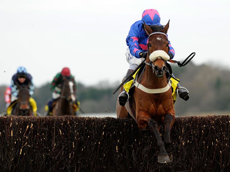 Cue Card prepared for Cheltenham with a ready success at Ascot