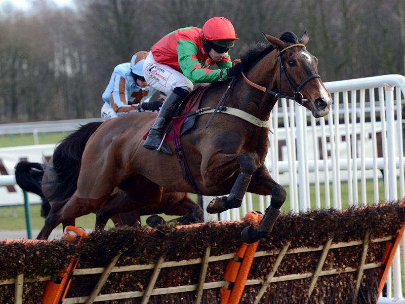 Two Rockers impresses at Haydock - just as our man Wayne Hutchinson hoped he would