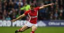 Lions XV