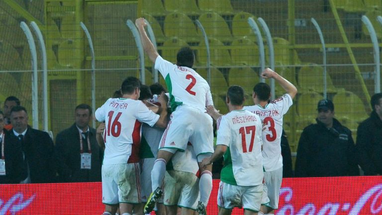 Goal joy: Hungary's Daniel Bode (unseen) is congratulated by teammates after his equaliser against Turkey