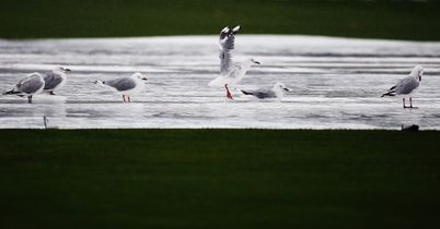 Rain frustrates Holland again