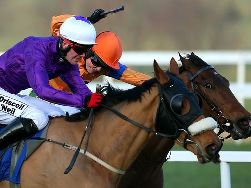 Shield (far side) lays it down to Grecian Tiger
