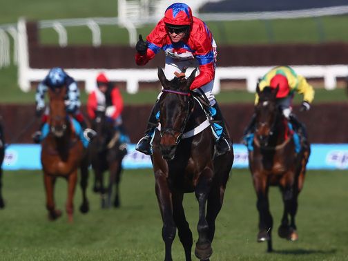 Sprinter Sacre: Imperious