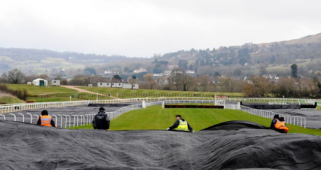 Cheltenham officials out covering the track on Sunday