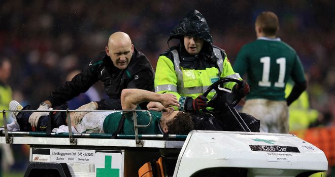 Eoin Reddan: Needed oxygen before being taken off the field during Ireland's draw with France