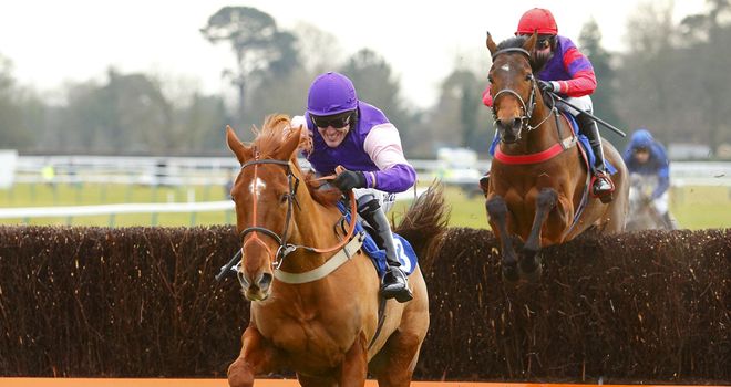 Fontwell: Sunday check