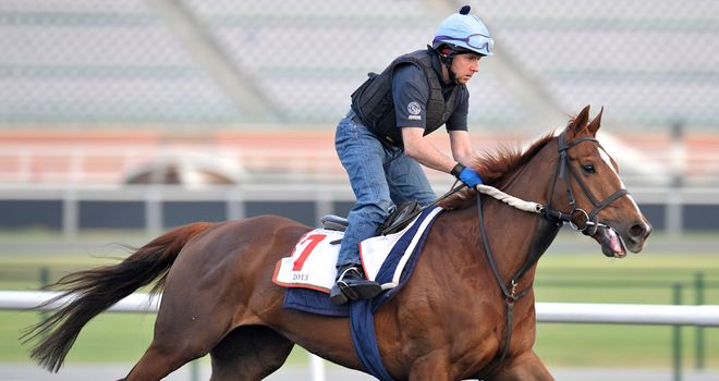 Red Cadeaux: Steady day's work