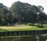 The 13th hole at the Copperhead Course
