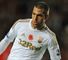 Shechter image