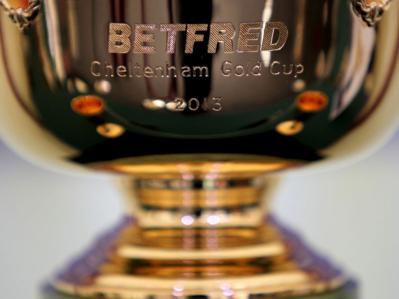 The 2013 Cheltenham Gold Cup