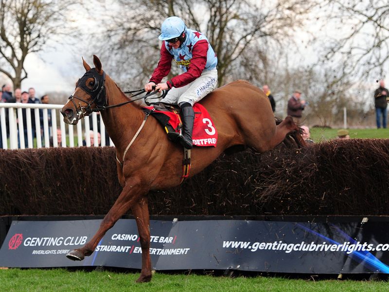 A good day for Nigel and Sam Twiston-Davies as they win with Hunters Lodge...