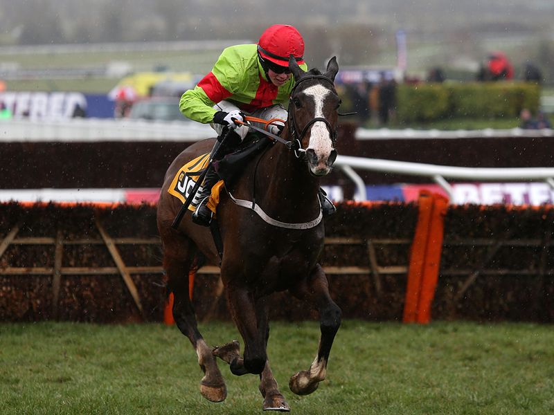 Our Conor romps home in the Triumph Hurdle