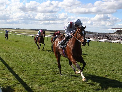 Toronado is an impressive winner of the Craven