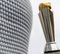 Champions Trophy