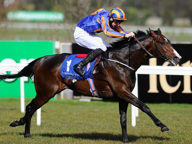 Battle Of Marengo: Heads the Derrinstown field