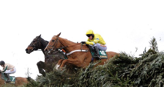 Triolo D'Alene takes last year's Topham Trophy