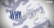 Living For Sport - Why Cricket?