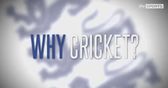Why cricket?