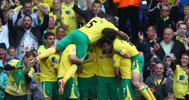 Norwich secured their Premier League survival with a fine performance