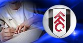 Transfer guide