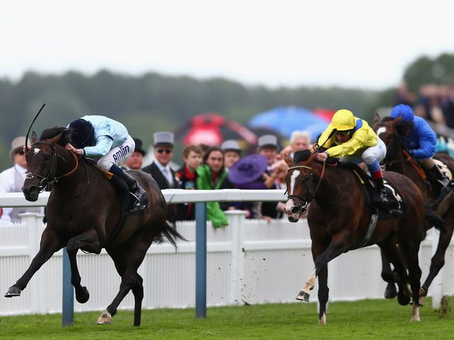 Opinion: Big Ebor fancy