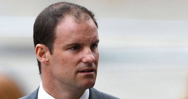 Andrew Strauss: Believes appointment of Darren Lehmann could be a risk worth taking