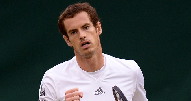 Andy Murray: Making superb progress at Wimbledon