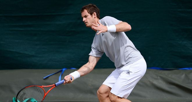 Andy Murray: Has received backing from former Davis Cup teammate Tim Henman