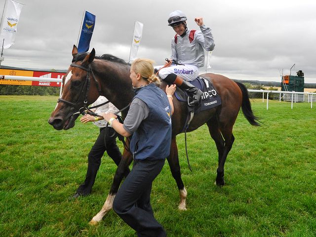 Toronado: Carries plenty of stable confidence into the Queen Anne Stakes