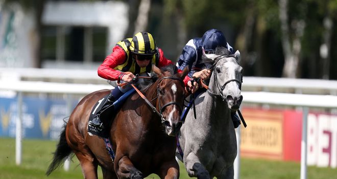 Elusive Kate: Could run in the Matron Stakes