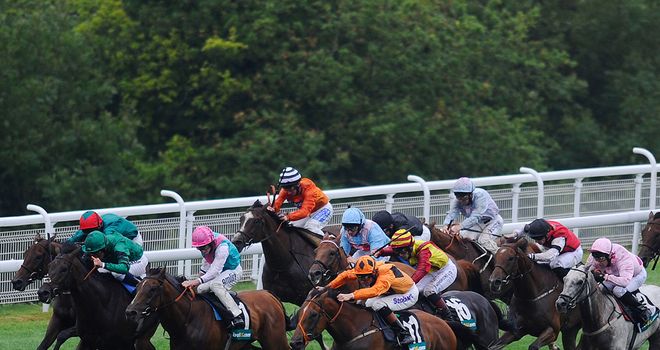 Viewpoint: Could put in an appearance at the Shergar Cup