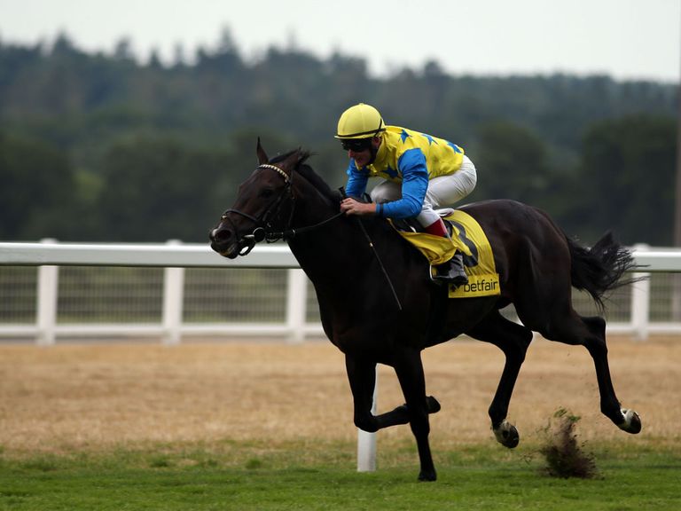 Novellist: Retired to stud