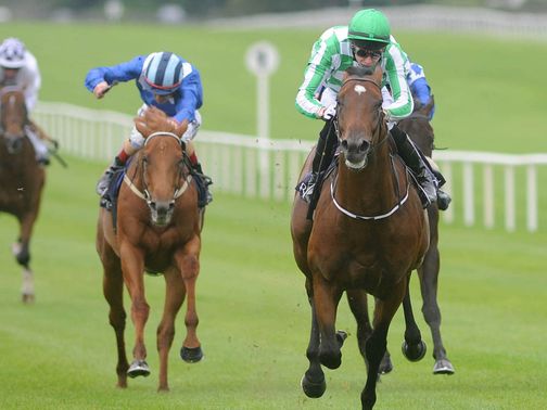 War Command: Comfortable victory at the Curragh